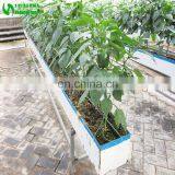 Chinese Aubergine Hydroponics Growing Systems In Greenhouse thumbnail-4