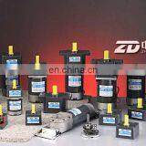 AC Gear Motor thumbnail-1