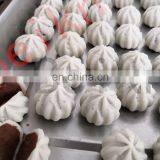 SMALL AUTOMATIC STEAMED MODAKS ENCRUSTING MACHINE thumbnail-6