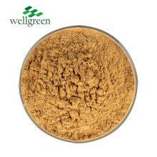 Plant Extract 30%-60% Sarsaponin Yucca Powder Yucca Schidigera Powder Extract thumbnail-2