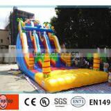 Most Fascinating Inflatable Slide Type Inflatable Double Lane Slip Slide thumbnail-6