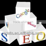 Professional and Effective Seo Score thumbnail-1