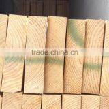 Radiata Pine thumbnail-1
