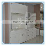 Huilv Lab Ventilation Fume Hoods Systems Furniture
