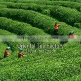 China Supplier Hangzhou Factory Organic Weight Loss Slimming thumbnail-3