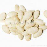 Pumpkin Seed Wholesale in Northeast China thumbnail-1