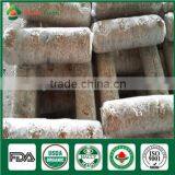 Wholesale Bulk Frozen China Shiitake Mushroom Spawn Log Bag Growing Kit