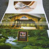 Pvc Self Adhesive Vinyl for Printing 100 Mic PVC Film/140g Release Paper