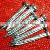 Russia Market Fast Sell Big Order Concrete Nails thumbnail-3