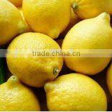 Good Taste Lemon thumbnail-1