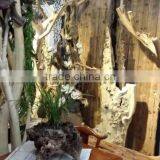 Window Display Tree Props thumbnail-3