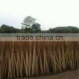 Wooden Stick Eucalyptus thumbnail-4