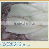 Frozen Squid T+T Size 3/5 (Loligo Chinese) thumbnail-1