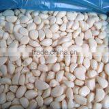 IQF Garlic Cloves thumbnail-1