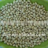 Navy White Kidney Beans