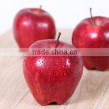 Sell in Bulk Fresh Apples Market Prices Fresh Red Delicious Apples thumbnail-2