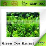 BNP Professional Supplier Organic Green Tea Extract thumbnail-3