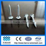 Nail/common Wire Nail/iron Nail thumbnail-1