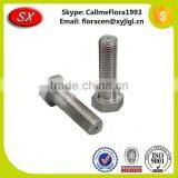 OEM&ODM Custom Hight Strenght Rigging Screw Galvanize From China thumbnail-5