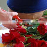 Superior All Season Bypass Pruning Shears Garden Tool From New-hero Gardens - High Carbon Steel for Durability, Sharpness, and E thumbnail-2