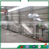 Broccoli Treatment Production Line Vegetable and Fruit Drying Equipment