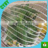 New Design Virgin Material Plastic Anti Bird Netting thumbnail-2