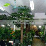 GNW APM015 Artificial Palm Plants Park Landscaping Decoration Palm Trees thumbnail-6