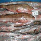 FROZEN Reef Code Whole Round thumbnail-1