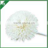 Factory Audit Fashion Artificial Handmade Sola Wood Flower