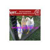 Chicken Wire/Hexagonal Wire Mesh thumbnail-3