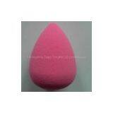 Egg Shaped Sponge