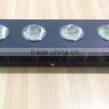 Veg Bloom Switchable Cob Led Grow Light Full Spectrum 1000w Led Grow Light thumbnail-1