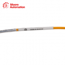 Bently Nevada 10030-05-30-05-02 thumbnail-4