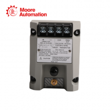 Bently Nevada 991-01-XX-01-CN thumbnail-2