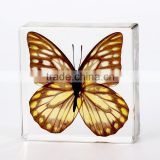2016 New design promotion gifts butterfly wholesale butterfly paperweight