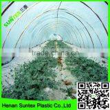 uv Protection Anti Fog Greenhouse Cover Film for Multi-span Vegetable Planting thumbnail-2