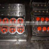 Flip Top Cap Mould