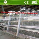 Automatic Poultry Farm Galvanized Chicken Wire Cage for Sale