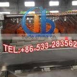 High Performance Automatic Industrial Fruit Washing Machine thumbnail-4