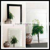 Beautiful Standing Floor Mirrors thumbnail-3