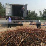 China Copper Scrap Wire Scrap in Sale thumbnail-2