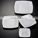 Square Shape 2 Dinner Plates(new)