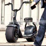 Hot Selling Harley Motorcycle With 800W Motor 48V 12000MAH Lithium Battery