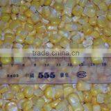 IQF Sweet Corn