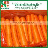 2016 Best Quality Fresh Red Carrots thumbnail-1