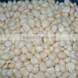 IQF Peeled Garlic for Sale / Frozen Garlic for Export thumbnail-2
