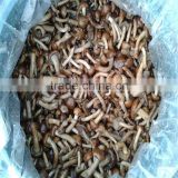 zhuanghe nameko mushrooom price in brine pickled mushroom nameko mushrooom 50kg drum