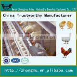 Automatic Layer Poultry Cage With Egg Collecting Machine thumbnail-5