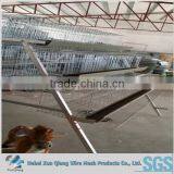 H Type 120 Layers Chicken Cage Laying Hens thumbnail-2