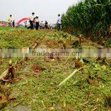 Boyo 4 Rows 4YZ-4C Corn Harvester With Silage System thumbnail-2